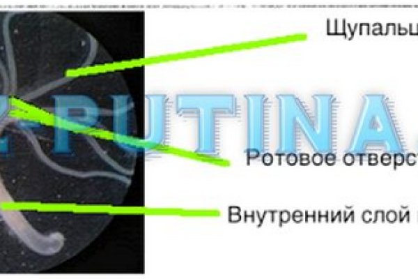 Рабочие ссылки и зеркала кракен