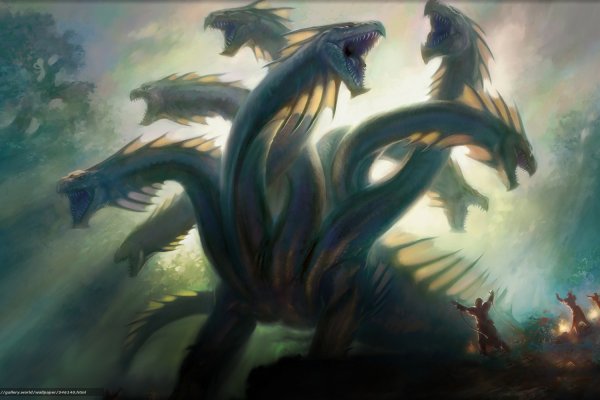 Kraken пользователь не найден при входе