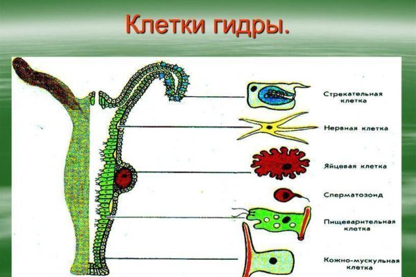 Ссылка на кракен тг