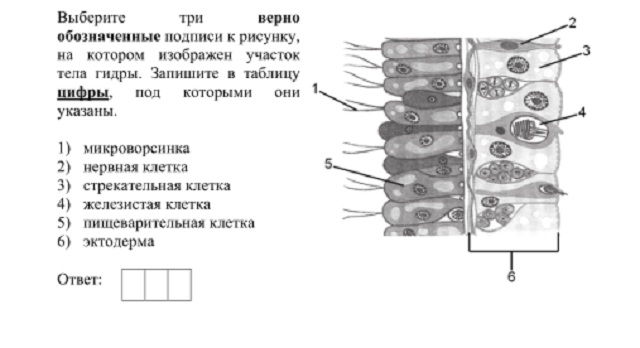 Кракен даркнет войти