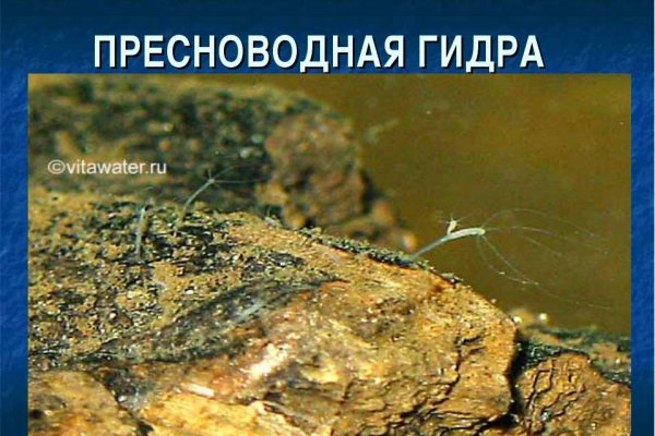 Кракен даркнет только через тор