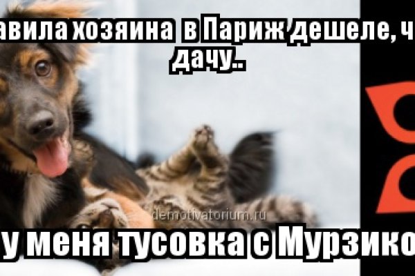 Пользователь не найден кракен