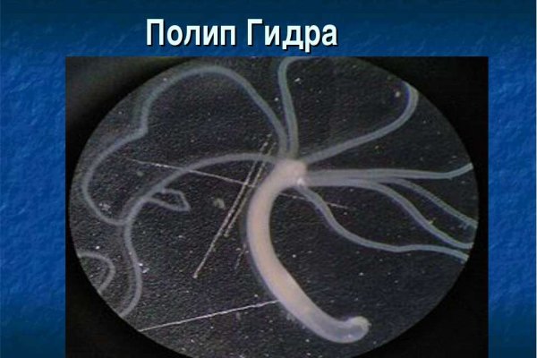 Кракен что продается