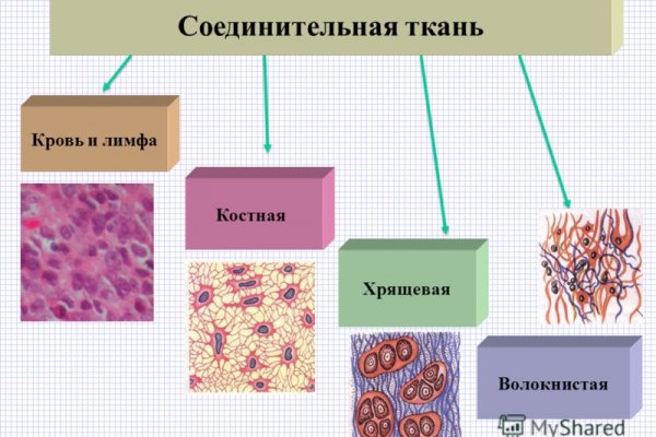 Мега кракен блэк спрут