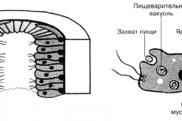 Kraken 12at зеркало