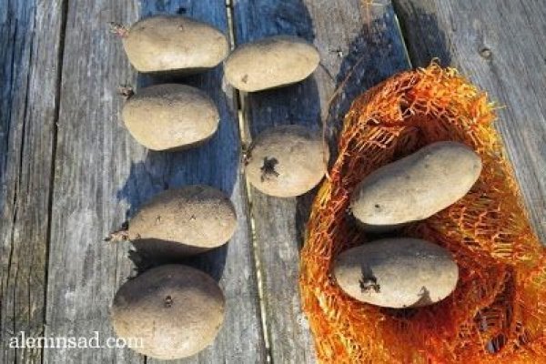 Даркнет официальный сайт вход