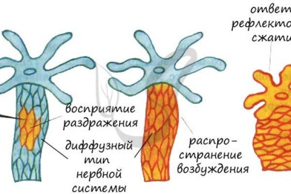 Запрещенный сайт кракен