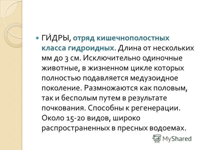 Кракен сайт krk store com