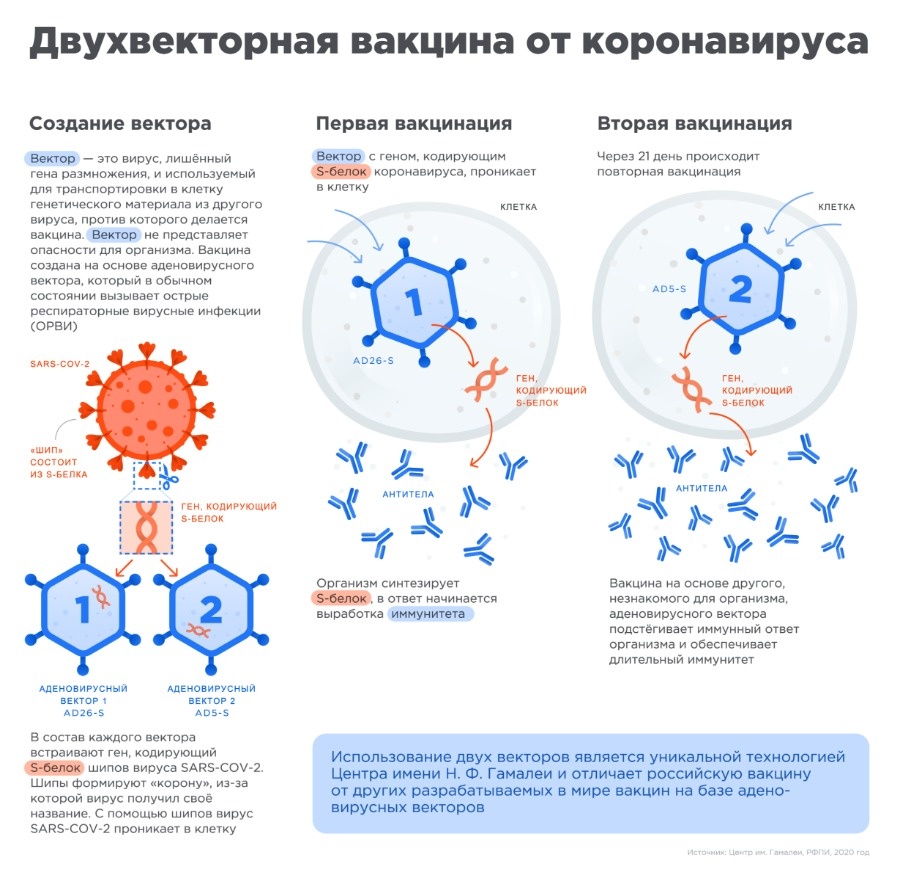 Кракен наркокортель